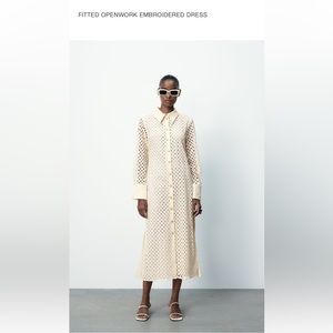 Zara Fitted Openwork Embroidered Dress (medium)